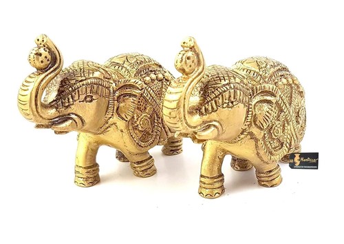 Coppia elefanti indiani - coppia,